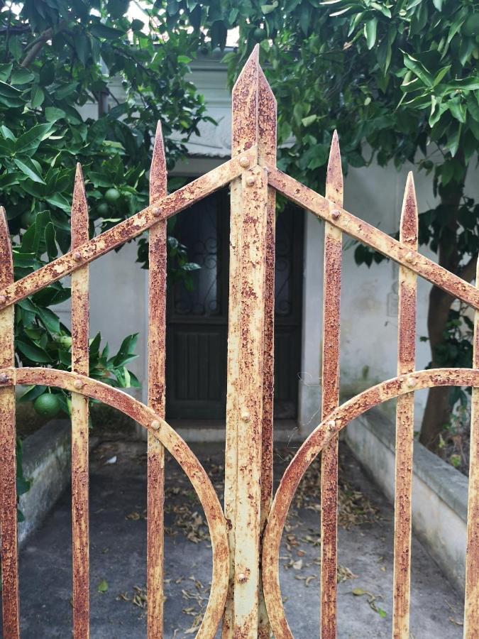 Hotel Casa Segota Veli Iž Esterno foto